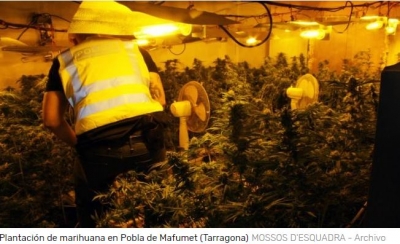Los Mossos cierran el grifo de la droga en La Pobla de Mafumet